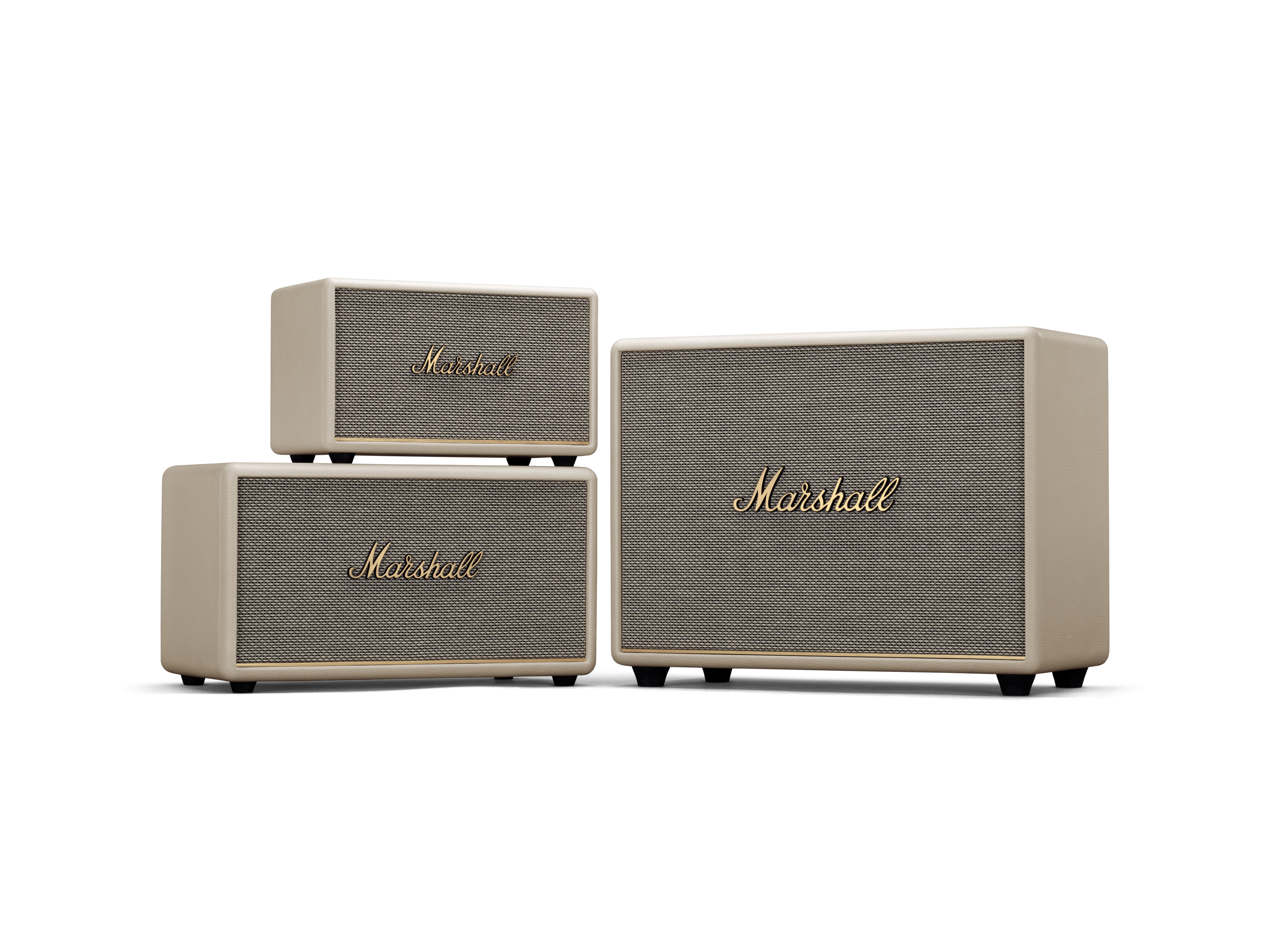 Activaire + Marshall: Music for Business 3 marshall family III cream 2099 transparent